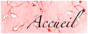 Accueil